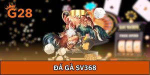Đá Gà Sv368 - Tận Hưởng Các Trận Đấu Mãn Nhãn