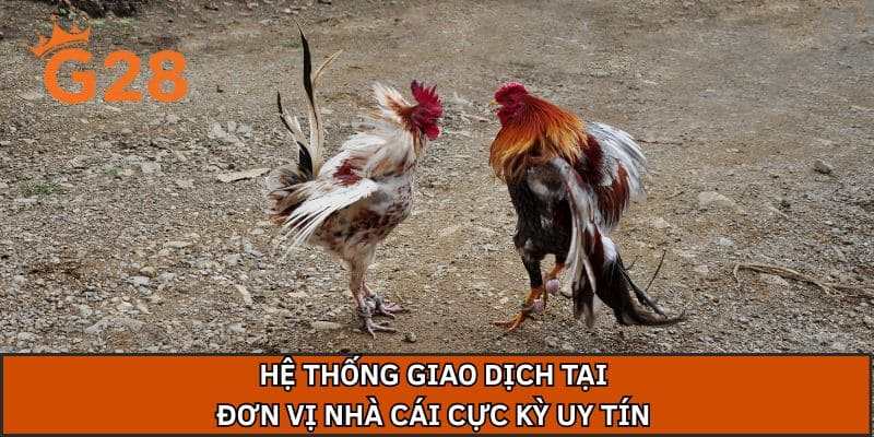 Hệ thống giao dịch tại đơn vị nhà cái cực kỳ uy tín