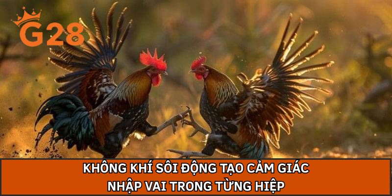 Không khí sôi động tạo cảm giác nhập vai trong từng hiệp