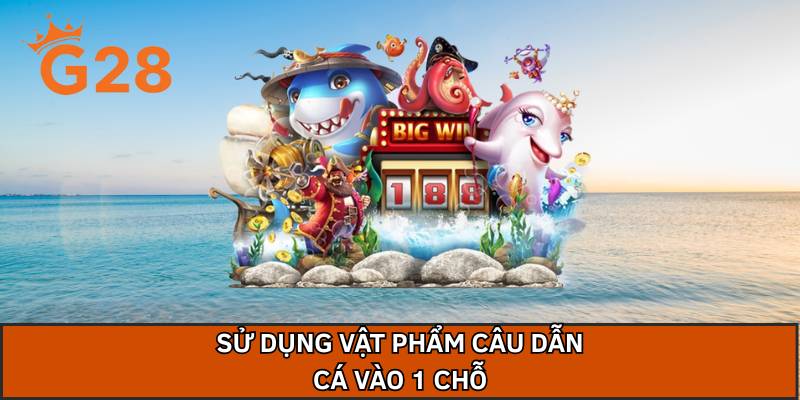 Sử dụng vật phẩm câu dẫn cá vào 1 chỗ