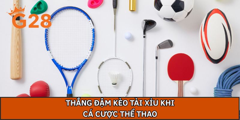 Thắng đậm kèo tài xỉu khi cá cược thể thao